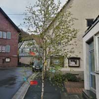 Maibaum 2021 -2.jpg