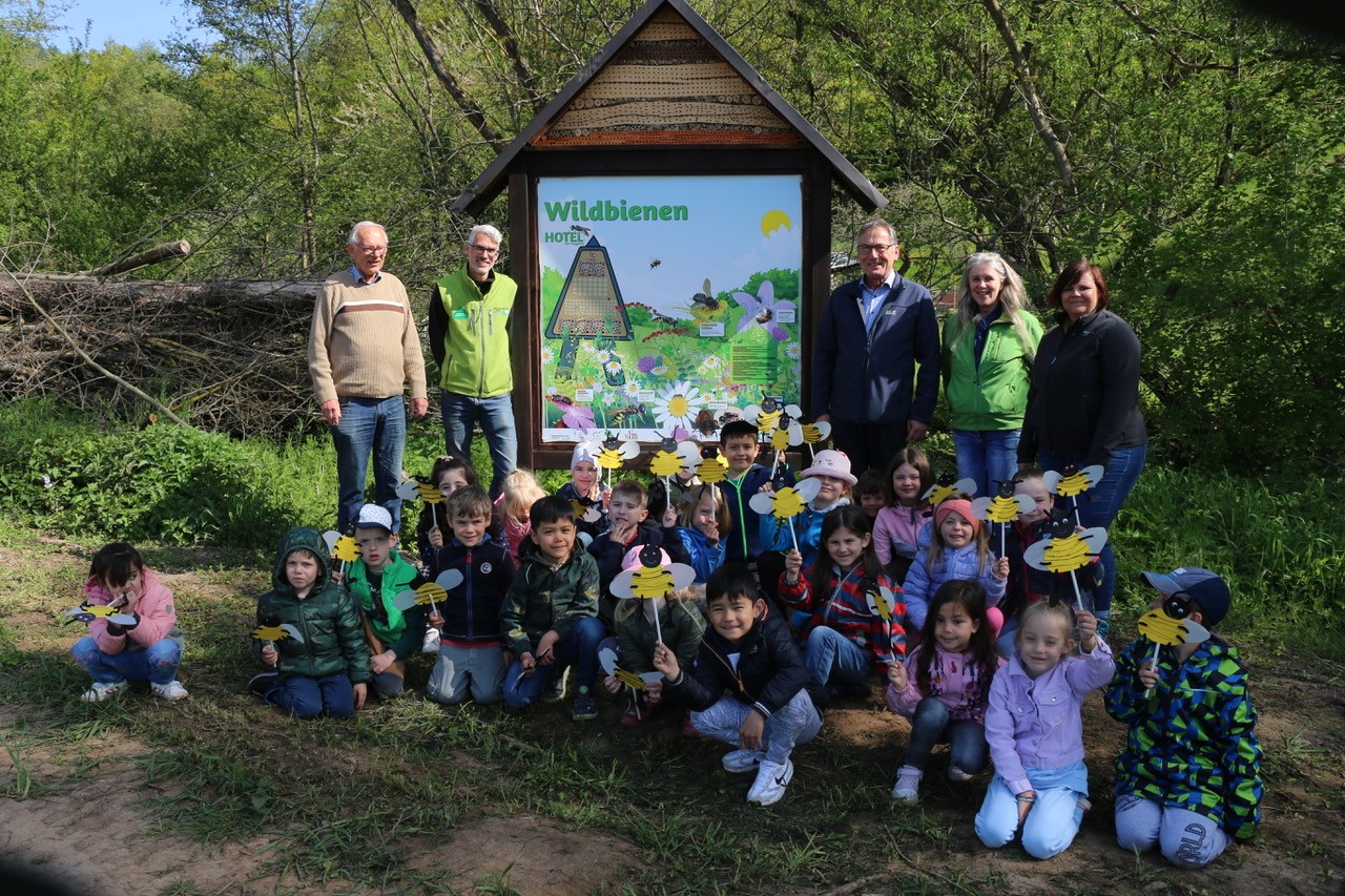 Zimmer frei für Wildbienen am Haslochbach und im Wiesengrund